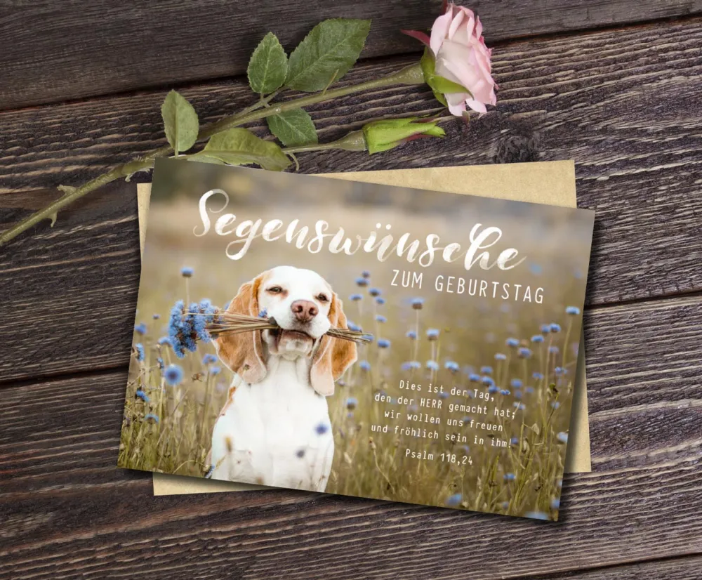 Postkarten süßer Hund zum Geburtstag - Psalm 118,24