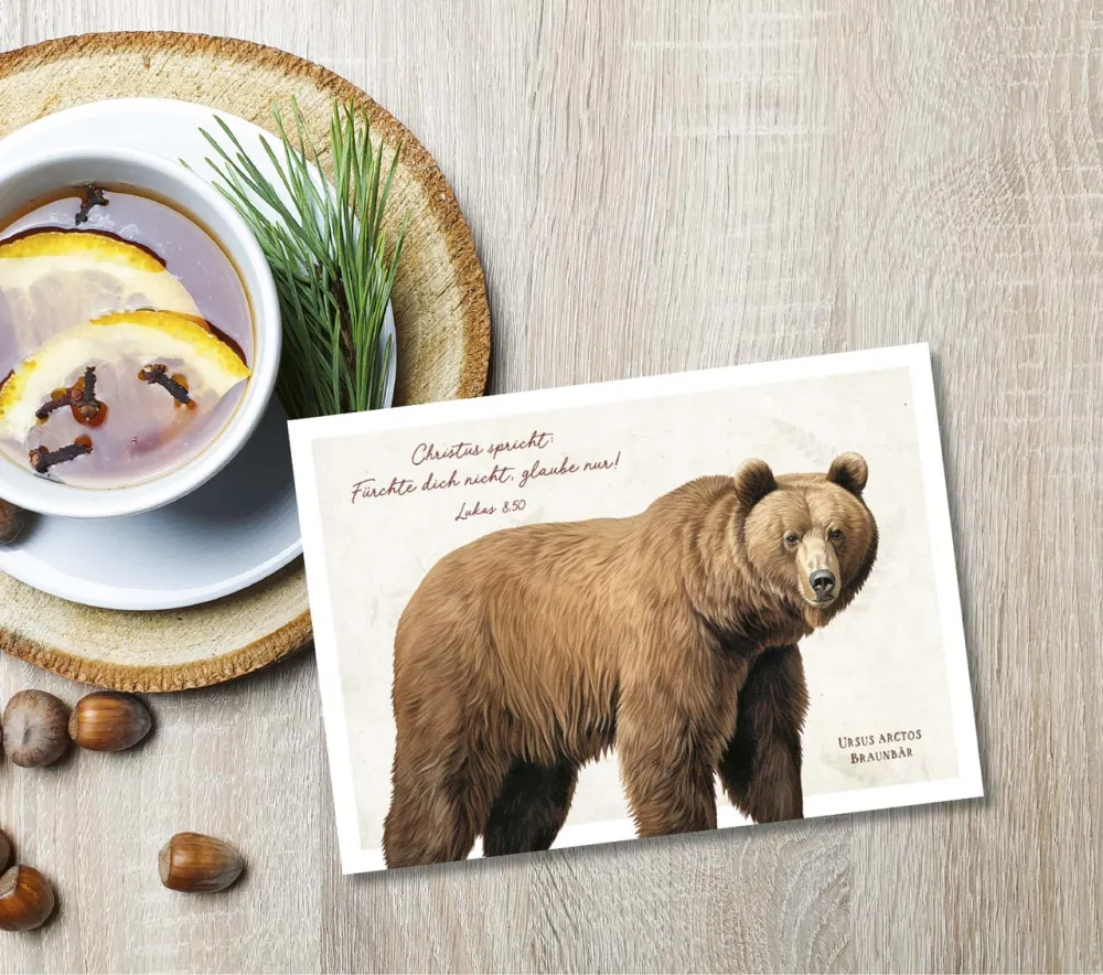 Postkarten Braunbär - Lukas 8,50