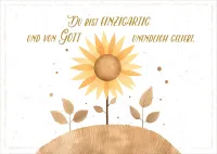 Postkarten Sonnenblume