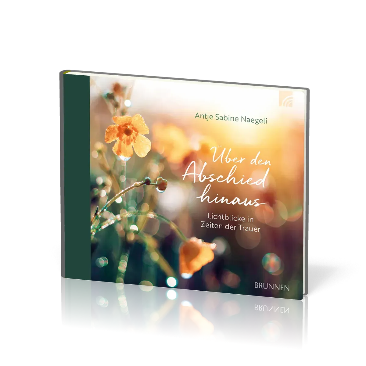 Über den Abschied hinaus - Lichtblicke in Zeiten der Trauer