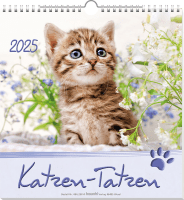 Katzen-Tatzen - Wandkalender