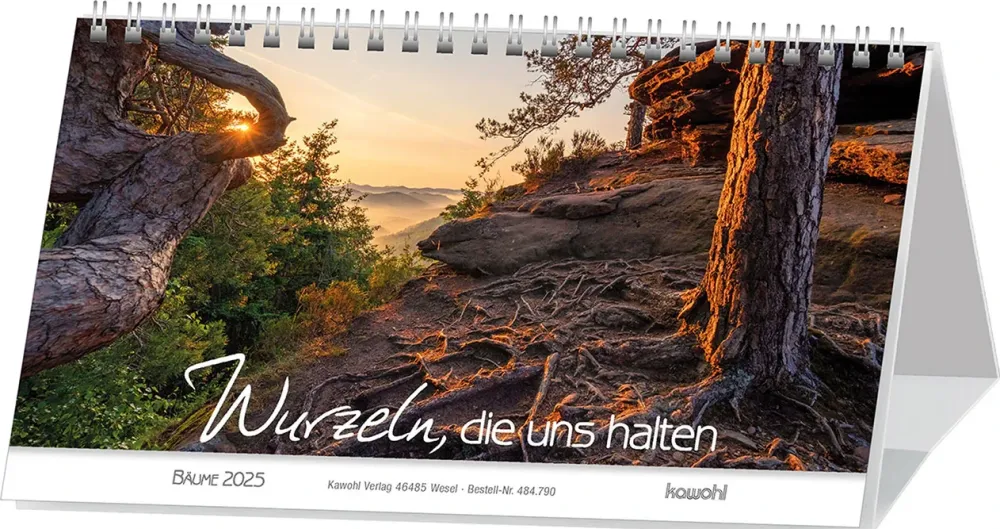 Wurzeln, die uns halten - Bäume (Postkartenkalender