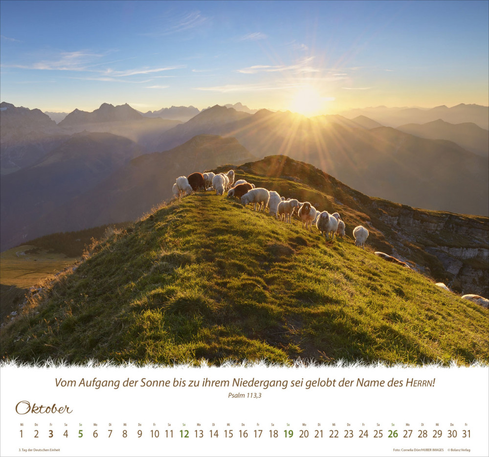 Kalender Ein Leben für die Schafe - Wandkalender