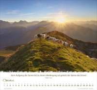 Kalender Ein Leben für die Schafe - Wandkalender