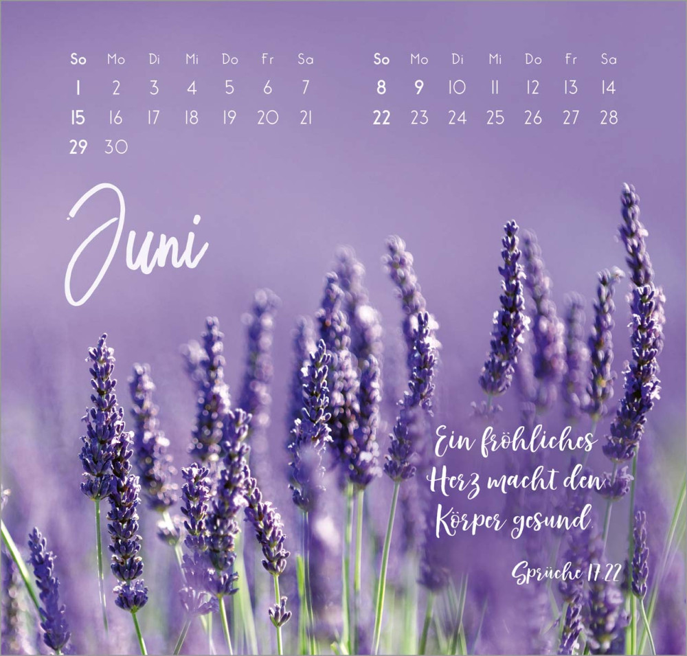 Zarte Blumengrüsse - Wandkalender