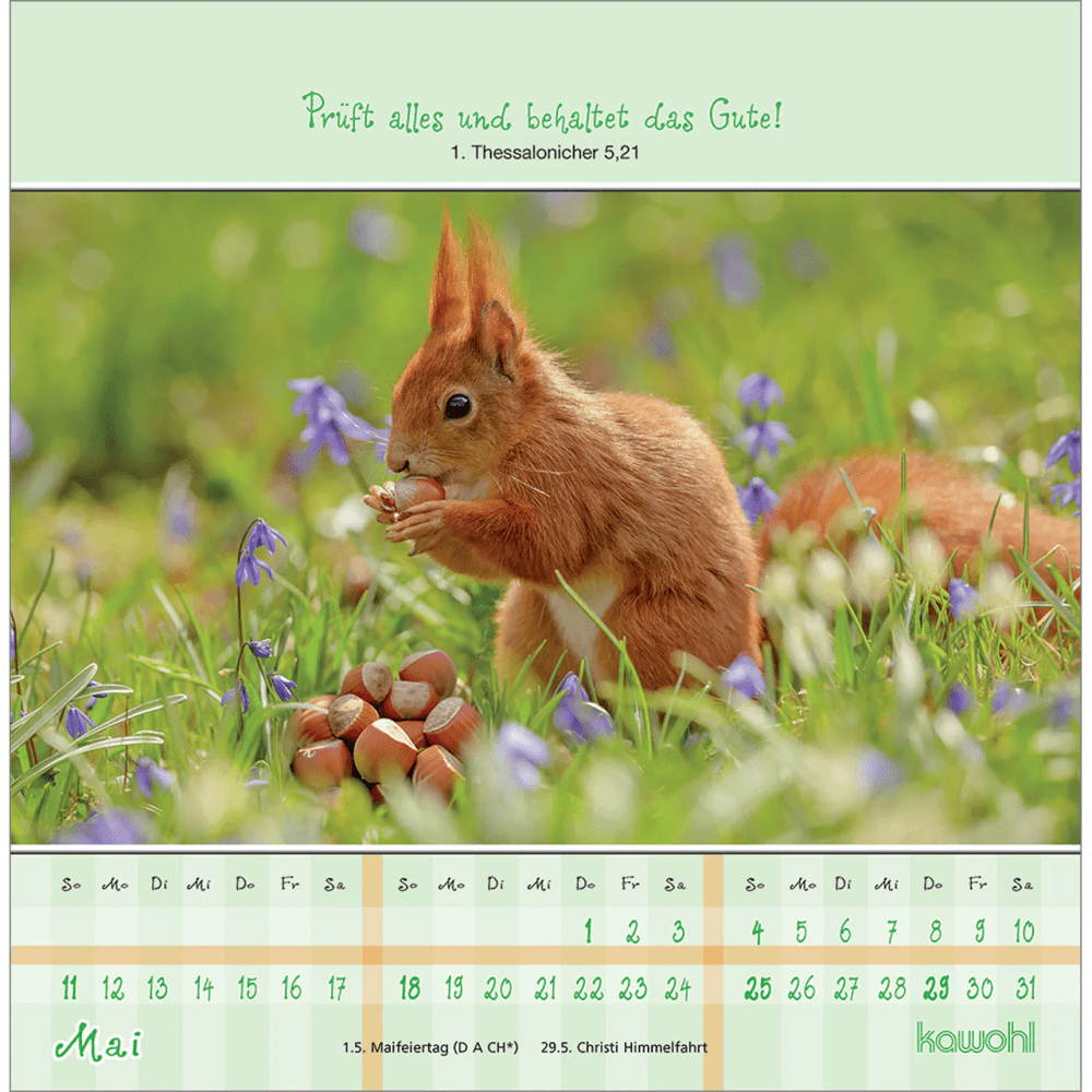 Von Herzen gute Tage - Postkartenkalender