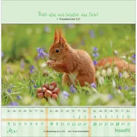 Von Herzen gute Tage - Postkartenkalender