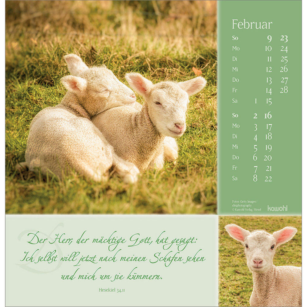 Sei behütet auf allen Wegen - Wandkalender - Impulse und Gedanken zu Psalm 23