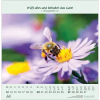 BLUMENGRÜSSE - WANDKALENDER