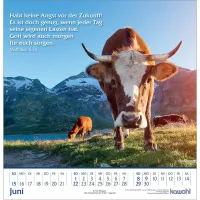 GLANZ DER BERGE - WANDKALENDER