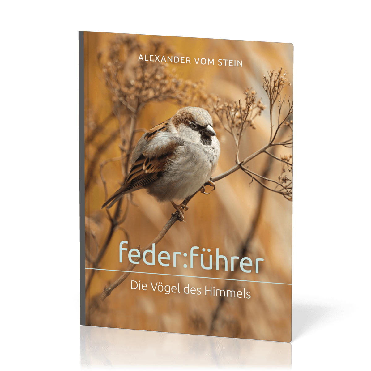  feder:führer 
 Alexander vom Stein 