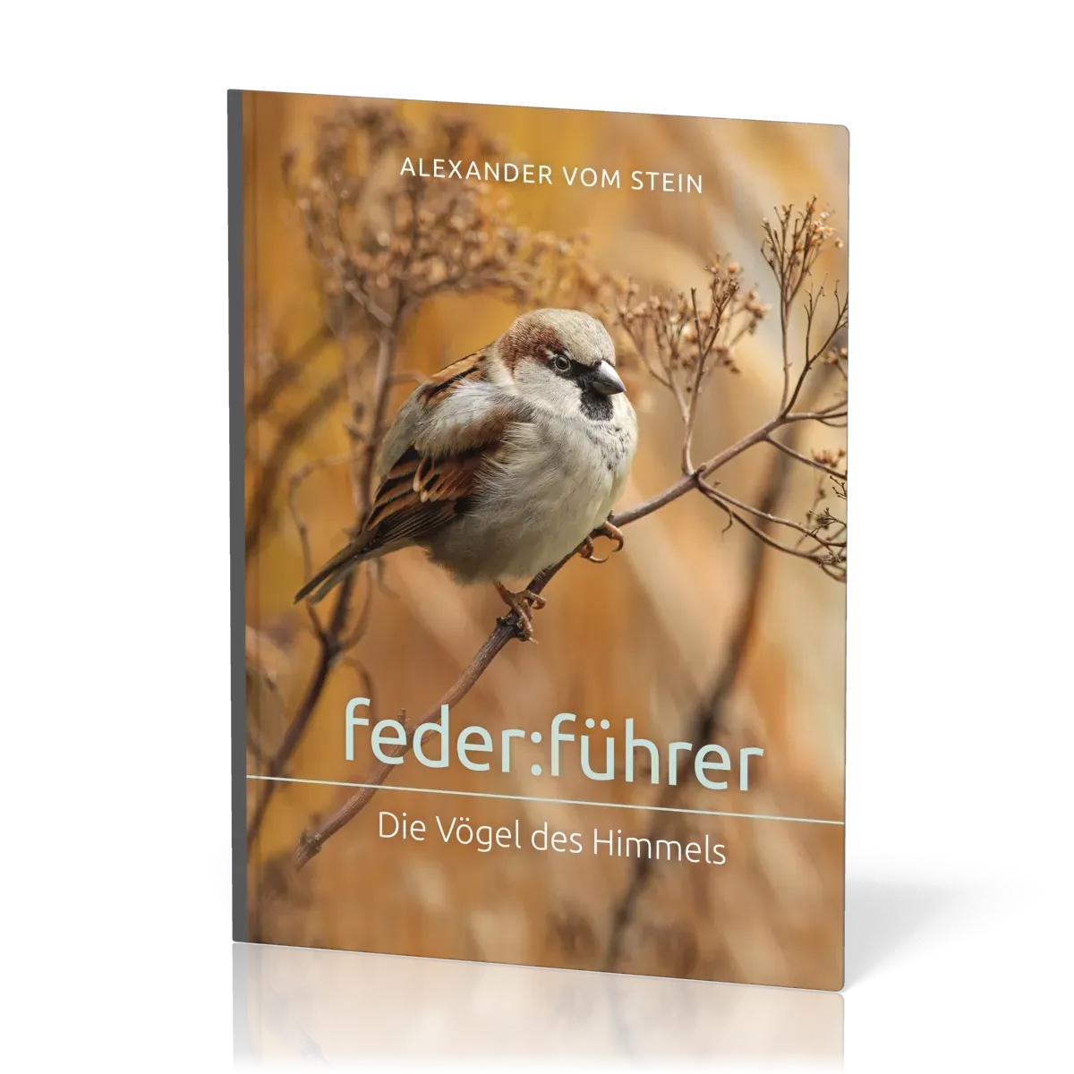  feder:führer 
 Alexander vom Stein 