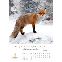 Natur, Wandkalender