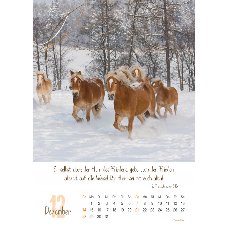 Natur, Wandkalender