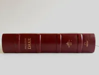 Spanisch, Studienbibel Dake, Reina valera 1960, gebunden, Grossschrift - Leder, braun,...