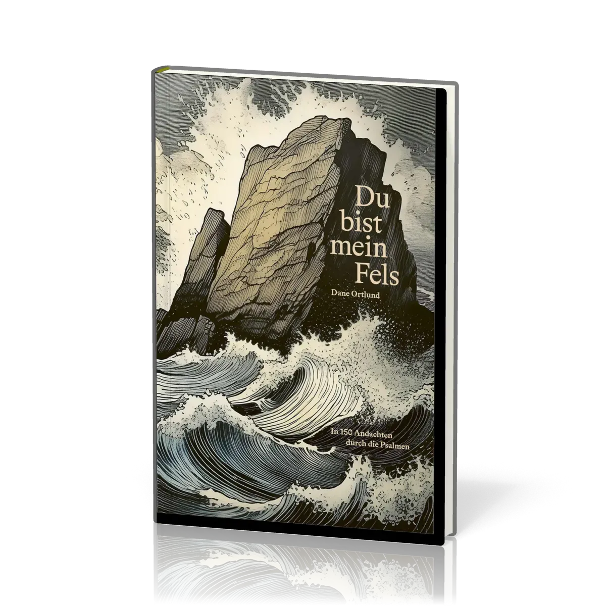 Du bist mein Fels - In 150 Andachten durch die Psalmen