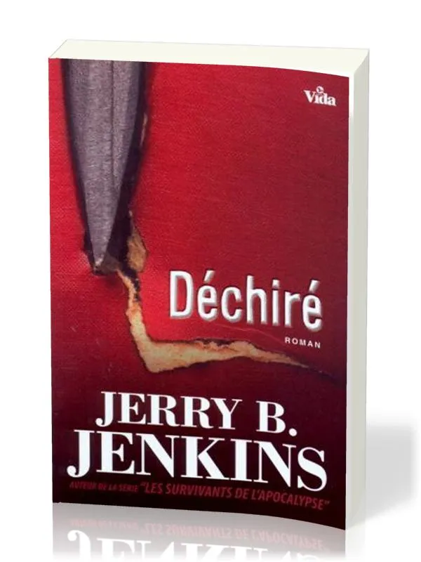 Déchiré - Roman