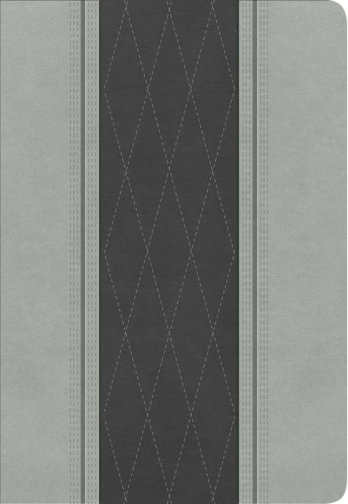 Espagnol, Bible, Reina Valera 1960, gros caractères, moyen format, similicuir duo gris - Letra...