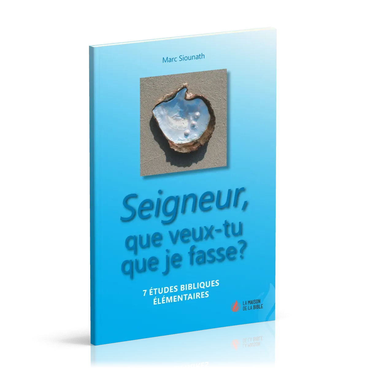 Seigneur, que veux-tu que je fasse ? - 7 études bibliques élémentaires