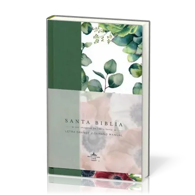 Spanisch, Bibel Reina Valera 1960, Grossdruck - Kartonnierter Stoffeinband grün mit Blumenmuster