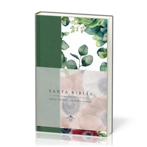 Spanisch, Bibel Reina Valera 1960, Grossdruck - Kartonnierter Stoffeinband grün mit Blumenmuster