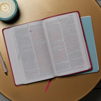 Anglais, Bible, New King James Version, moyen format, similicuir bleu - NKJV, Value Thinline...