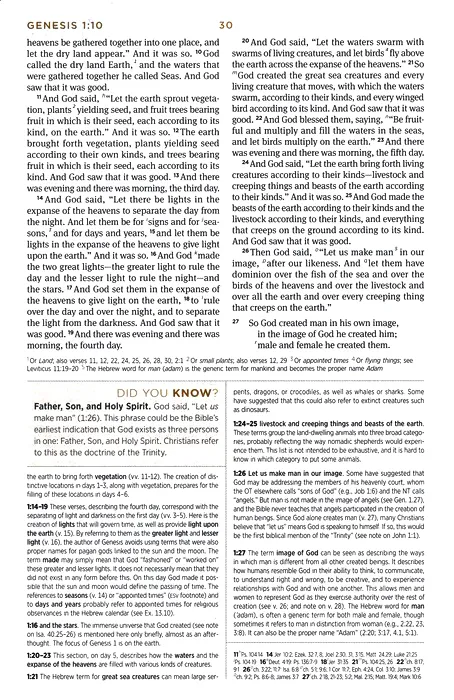 Englisch, Studienbibel English Standard Version - Kunstleder grün