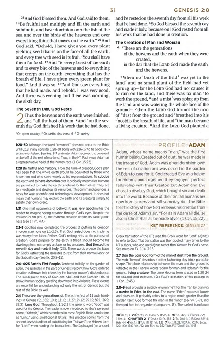 Englisch, Studienbibel English Standard Version - Kunstleder grün