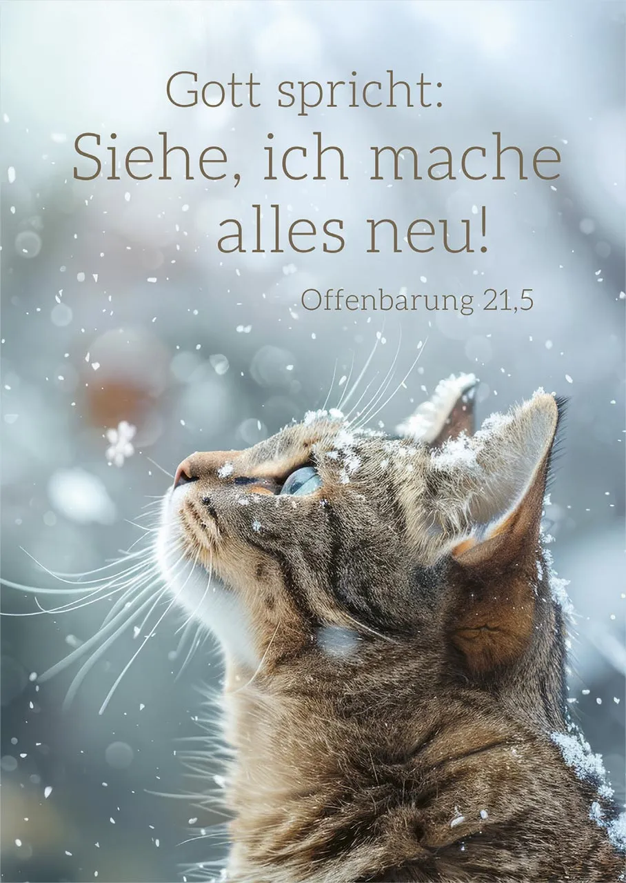 Poster A4 JL 2026 Motiv Katze - Offenbarung 21,5