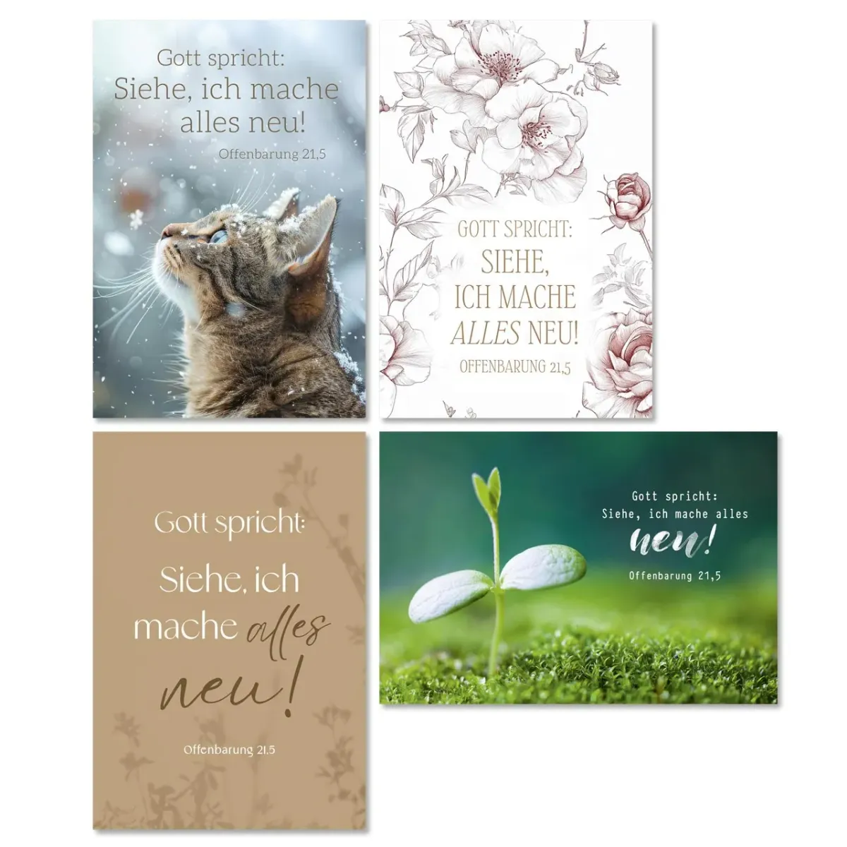 Minikarten Jahreslosung 