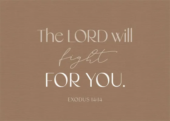 Postkarten Fight - Exodus 14:14