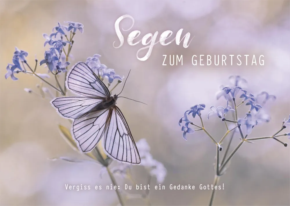 Postkarten Schmetterling