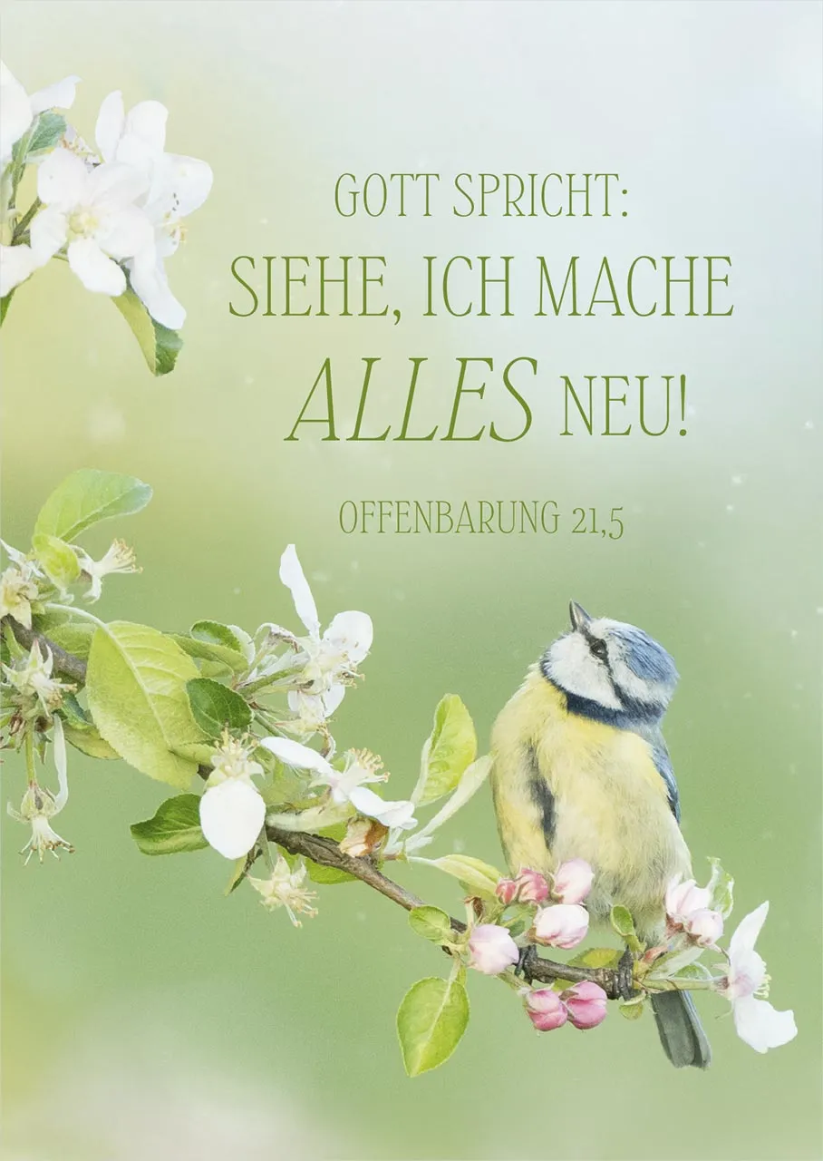 Postkarten JL 2026 Motiv Vogel - Offenbarung 21,5