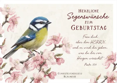 Postkarten Blaumeise - Psalm 37,4