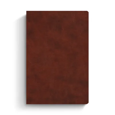 Anglais, Bible, English Standard Version, Every Day Gospel Bible - ESV Everyday Gospel Bible