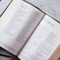 NKJV, Large Print Verse-by-Verse Reference Bible - Brown Leathersoft