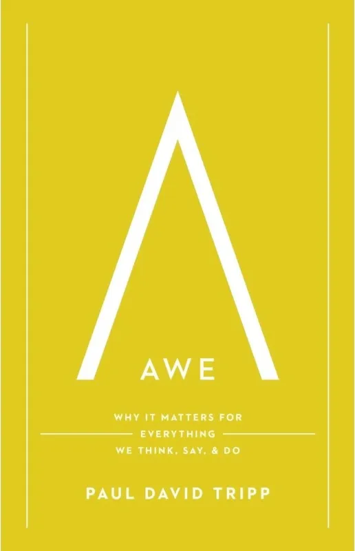 Awe - Why It Matters for Everything We Think, Say, and Do (with Study Questions)
