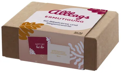 Alltagsermutigung - 50 Bibelverse und Segensworte - Box mit Kärtchen