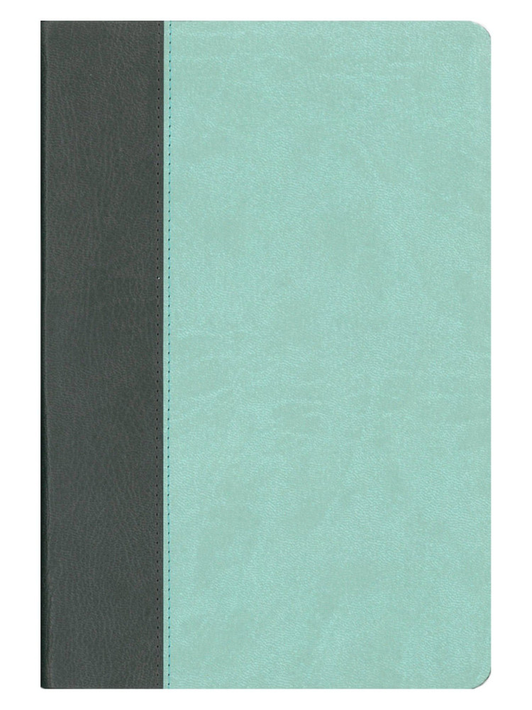 Elberfelder Bibel CSV Hückeswagen Standardausgabe - Kunstleder anthrazint / mint