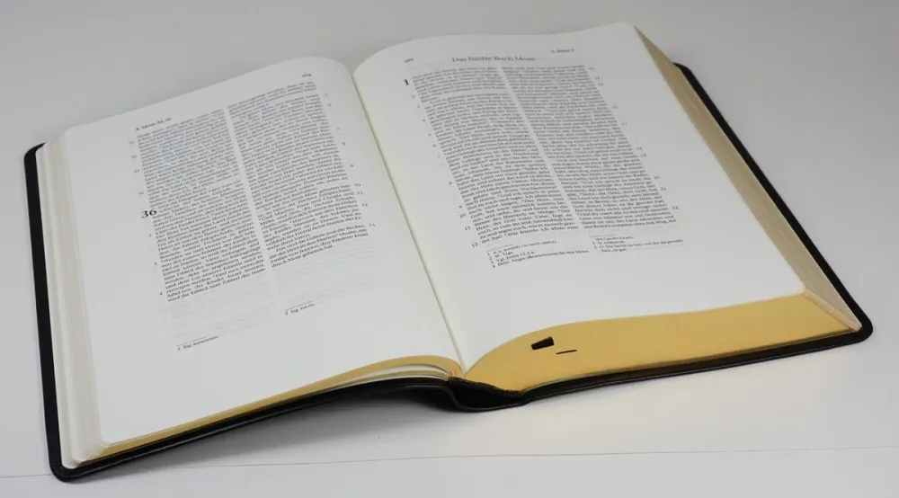 Elberfelder Schreibrandbibel 723 CSV Hückeswagen Kleine Ausgabe - Kalbsleder schwarz,...