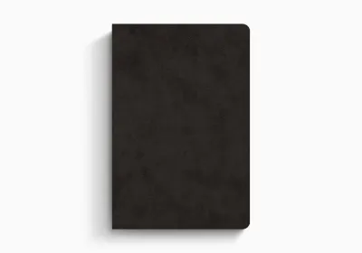 Englisch Bibel English Standard Version, Einspaltig - Kunstleder schwarz, Goldschnitt, Lesezeichen
