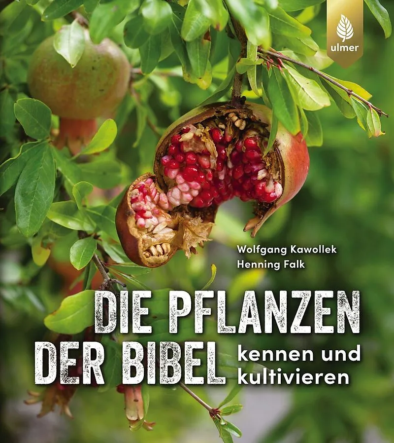 Die Pflanzen der Bibel kennen und kultivieren - Gärtnern mit Adam und Eva