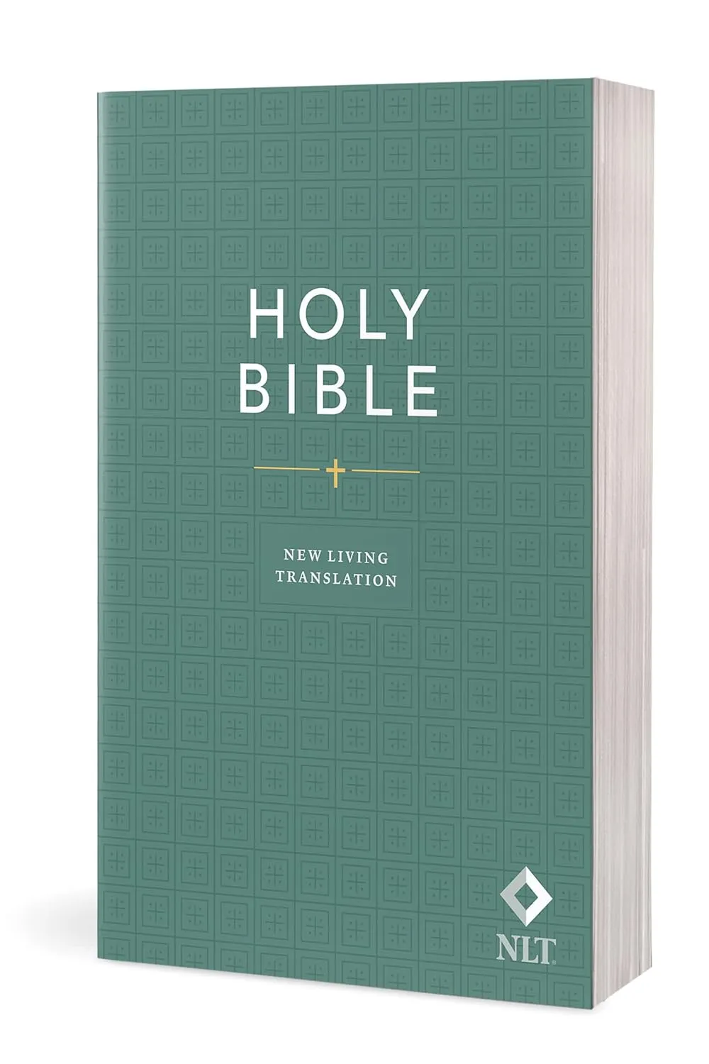 Anglais, Bible, NLT, Economy Outreach Edition