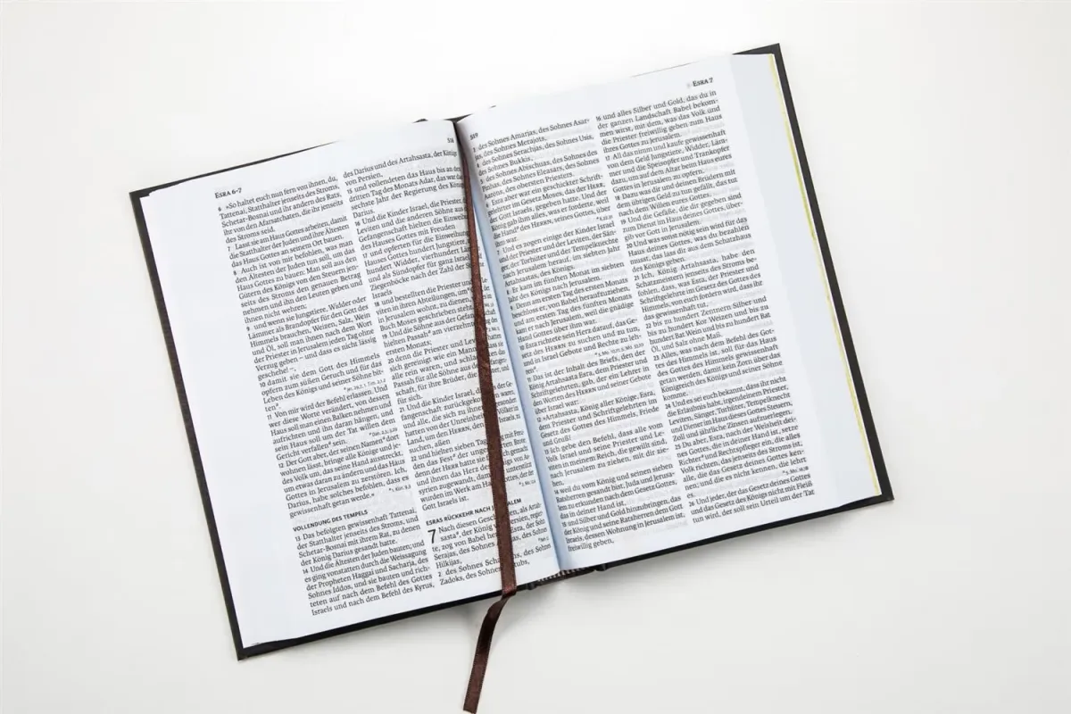 Luther 21 - Standardausgabe - Vintage Design - gebunden