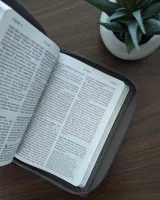 Englisch: NLT Compact Giant Print Zipper Bible, Filament Enabled (Leatherlike, Woven Cross Gray,...