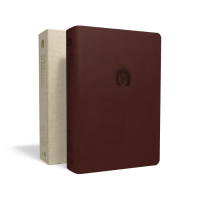 Portugais, Bible, Almeida Revista et Actualizada, Bible d'étude la foi réformée - similicuir...