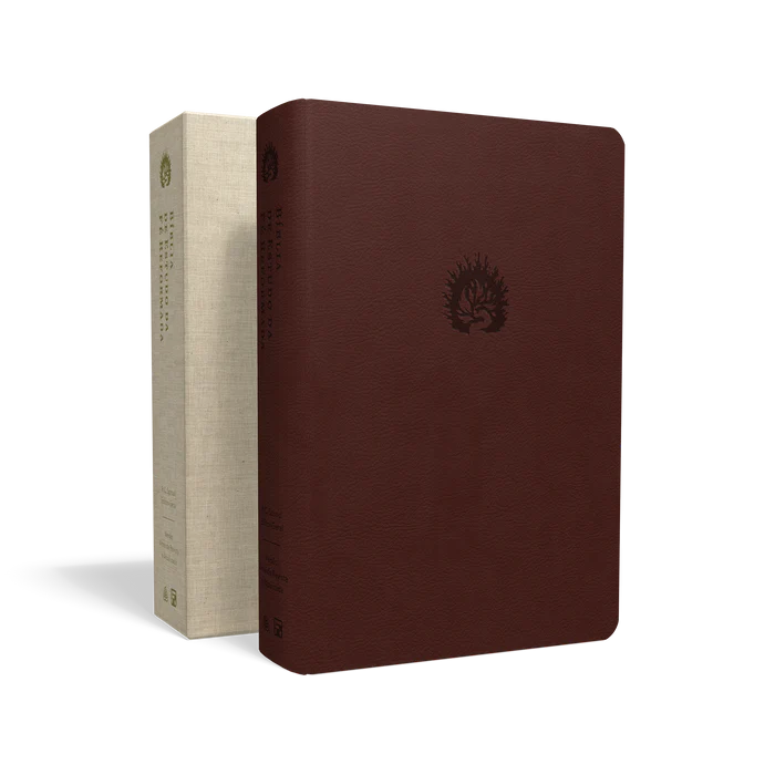 Portugais, Bible, Almeida Revista et Atualizada, Bible d'étude la foi réformée - similicuir bordeaux