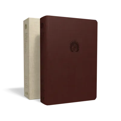 Portugais, Bible, Almeida Revista et Atualizada, Bible d'étude la foi réformée - similicuir bordeaux