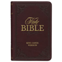 Englisch, King James Bibel, Taschenformat mit Goldschnitt - Kunstleder braun