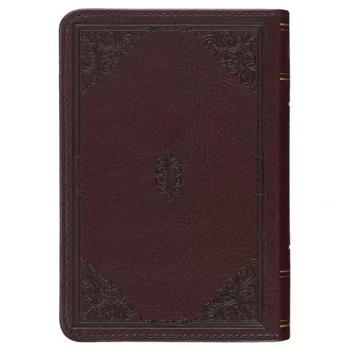 Englisch, King James Bibel, Taschenformat mit Goldschnitt - Kunstleder braun